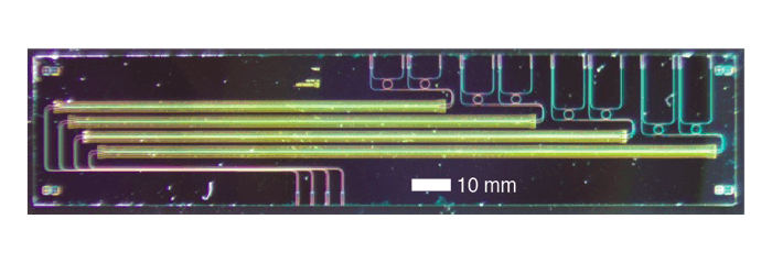 Optical micrograph of the electro-optic isolator chip on thin-film lithium niobate, comprising four devices with varying modulation length. Courtesy of Loncar Lab/Harvard SEAS.