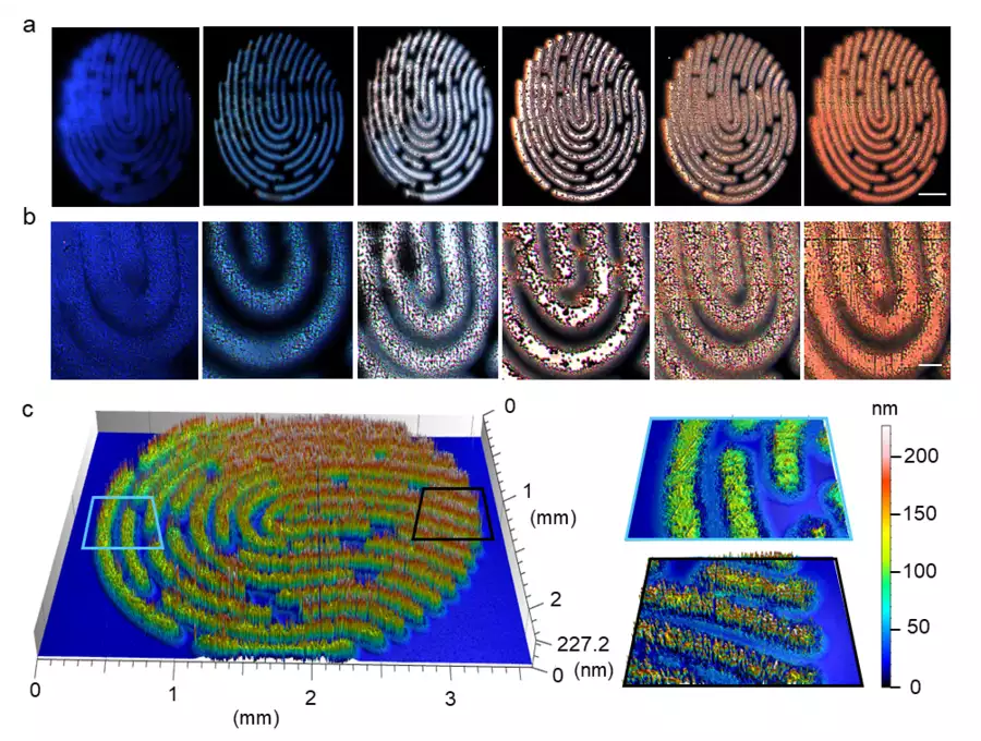 Six different artificial fingerprint patterns provided with different properties to visualize individual fluorescence and topography. The synthesis parameters were derived from the nanofilm library. Courtesy of Felix Löffler/Max Planck Institute of Colloids and Interfaces. 