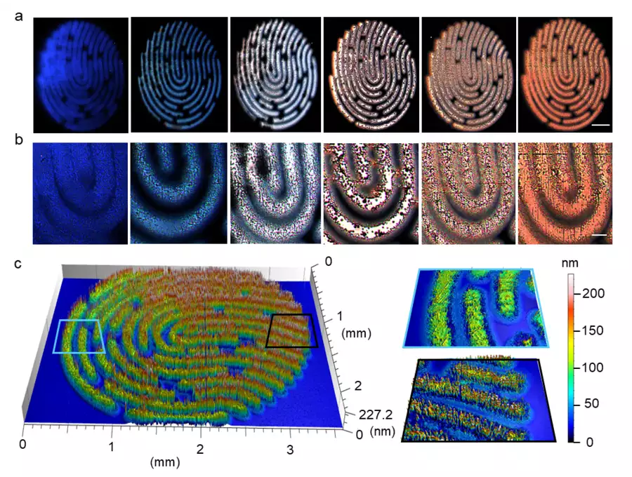 Six different artificial fingerprint patterns provided with different properties to visualize individual fluorescence and topography. The synthesis parameters were derived from the nanofilm library. Courtesy of Felix Löffler/Max Planck Institute of Colloids and Interfaces.