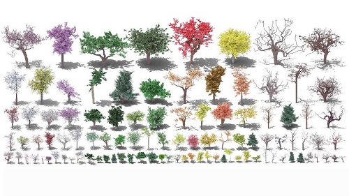 An array of Infinigen-generated trees showing the variation and control users have over their images. Courtesy of Princeton University.