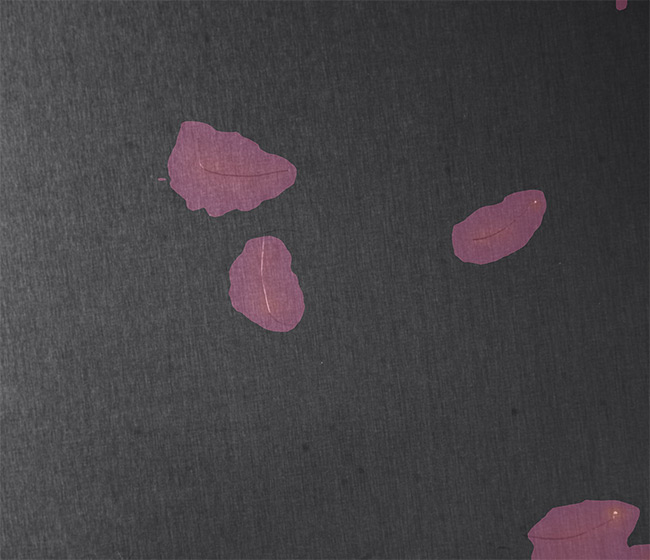 Teledyne’s Astrocyte AI tool displays location heat maps of scratched and defective areas on a metal surface, a common inspection requirement in automobile manufacturing. Courtesy of Teledyne DALSA.