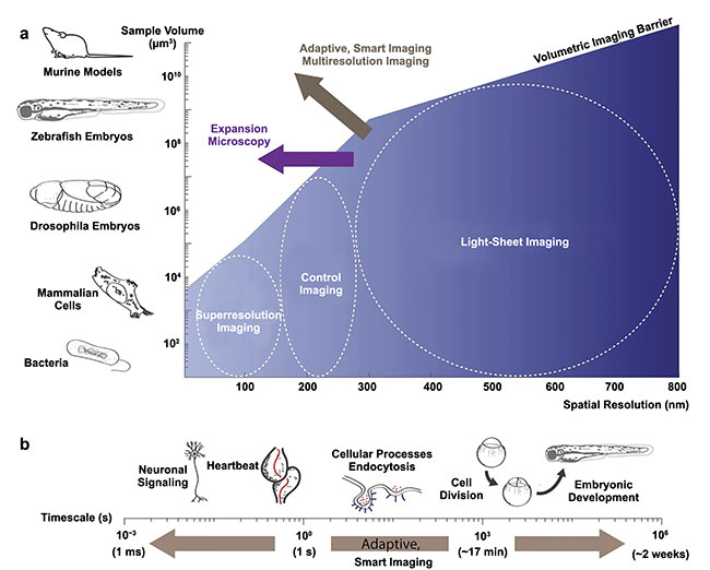 An illustration displaying how a variety of imaging technologies can be put to work surrounding common biological samples. The illustration also sign-posts to the current developments and future leading edges of selective plane illumination microscopy (SPIM) developments, including expansion microscopy and adaptive, smart, multiresolution imaging. Adapted with permission from Reference 2/CC BY 4.0.
