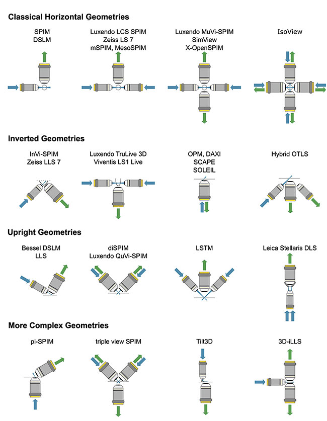 An overview of commonly used and more sophisticated selective plane illumination microscopy (SPIM) geometries of home-built, open-source, and commercial light-sheet microscopes. DLS: dynamic light scattering; DSLM: digital scanned laser light-sheet fluorescence microscopy; OTLS: open-top light-sheet. Adapted with permission from Reference 6. Courtesy of Dimitri Kromm.
