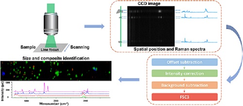 Line-Scan Raman Spectroscopy Detects Micro- and Nanoplastics