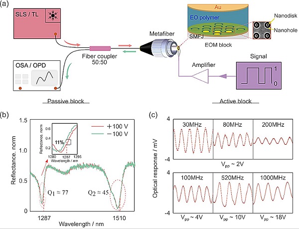 (a) Experimental setups for direct current (DC) and alternative current (AC) modulation characterizations. (b) DC modulation performance of the plasmonic metafiber EOM. (c), AC modulation performances of plasmonic metafiber EOM at different driving frequencies. Courtesy of Westlake University, Hangzhou Dianzi University. 
