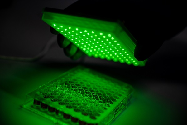 Experimental setup for producing the guanine defects: LEDs and the photosensitizer rose bengal are used to produce a reactive form of oxygen that can selectively link certain DNA bases to the nanotube. Courtesy of RUB, Marquard.
