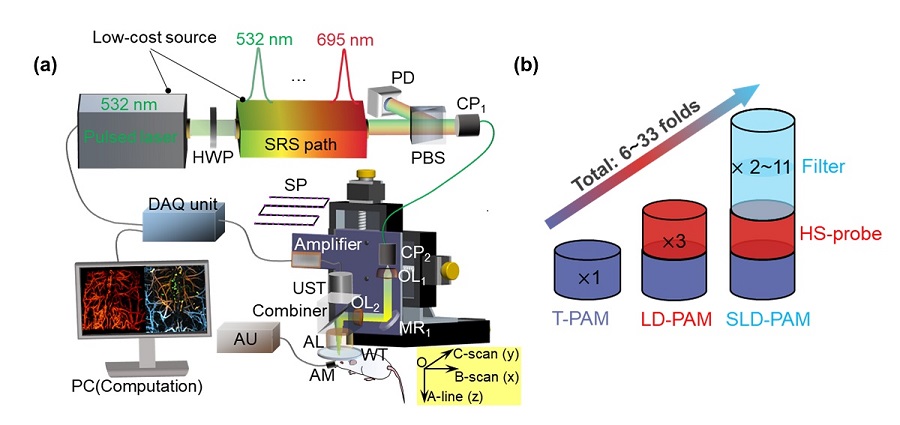 (a): SLD-PAM system and (b): sensitivity improvement from the probe and filter. Courtesy of Zhang, Y. et al., https://onlinelibrary.wiley.com/doi/10.1002/advs.202302486.