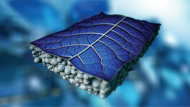 Courtesy of Dr. Gan Huang, Imperial College London.