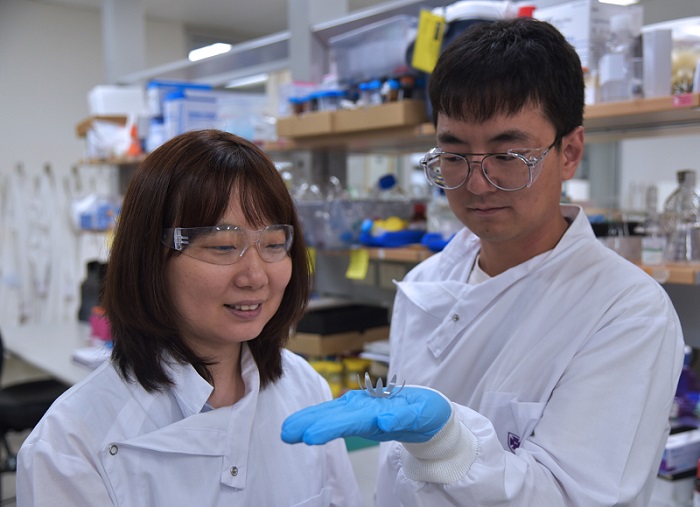 AIBN researchers Ruirui Qiao (left) and Liwen Zhang have developed a new method to prepare liquid metal polymers for 4D printing. The solid 4D structures created by their lab can be manipulated into different shapes with an infrared laser. Courtesy of AIBN.