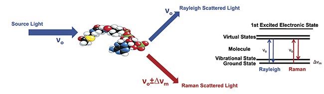 Figure 1. An illustration of the process of Raman scattering. Courtesy of Jason Palidwar/Iridian Spectral Technologies.