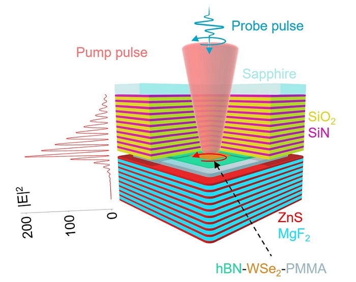 Schematic of the optical cavity with a one-molecule-thick layer of tungsten diselenide (WSe<sub>2</sub>) at the antinode, the point where the light field intensity is at its maximum. Courtesy of Deng Laboratory, Michigan Engineering.