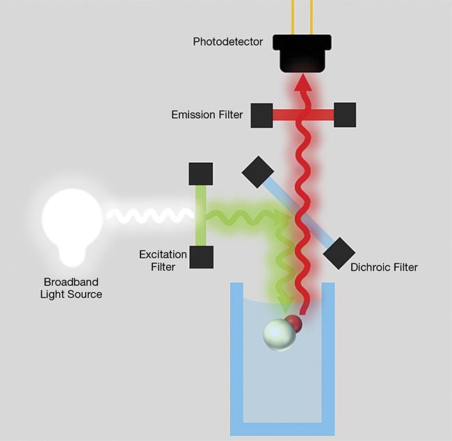 Figure 3. A fluorescence measurement configuration incorporating a dichroic filter. Such a setup enables a user to perform reflective measurement. Courtesy of Delta Optical Thin Film.