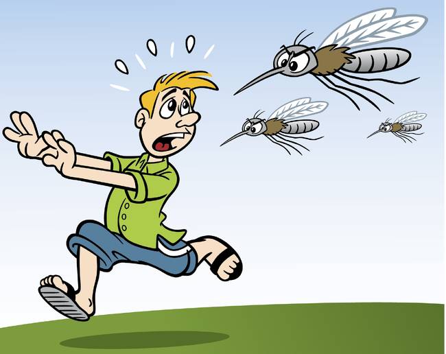 Mosquitoes are feeling the heat in their hunt