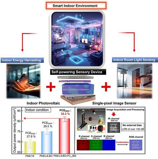 Organic photovoltaic (OPV) and organic photodetector (OPD) devices efficiently use ambient, unutilized, and low light to generate electricity and detect light to capture images. OPVs can be used to harvest indoor energy, while OPDs are like cameras that can use indoor light for imaging. Courtesy of Korea Institute of Science and Technology (KIST).