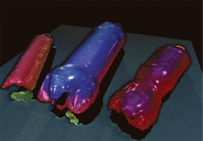 Transparent bottles imaged using a Zivid 2+ 3D camera.. Courtesy of Zivid.