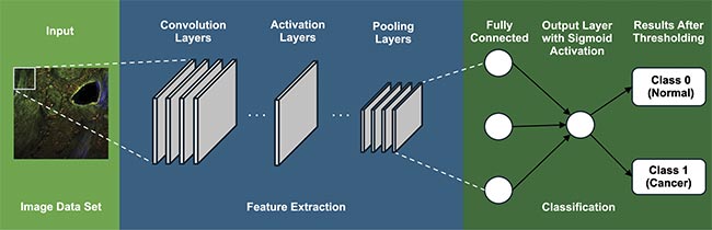Figure 3. A general architecture of convolutional neural networks (CNNs), which involve a series of layers. Courtesy of University of Arizona.