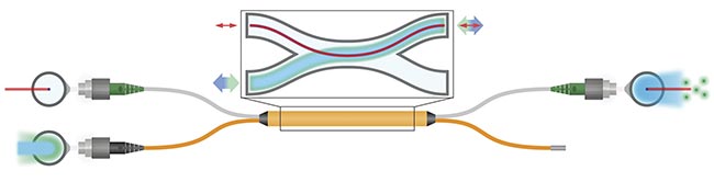 Figure 1. A schematic of a double-clad fiber (DCF) coupler used in a bidirectional configuration for concurrent OCT and fluorescence imaging. The DCF (top fiber) carries the OCT signal (red), while the multimode fiber (bottom fiber) carries both the excitation (blue) and collection signal (green). One port of the fiber coupler (bottom right) is terminated to minimize back reflection. Courtesy of Castor Optics.