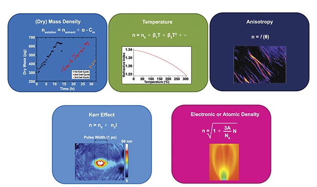 Figure 1. Physical processes that influence the refractive index in transparent media and hence the light phase. Some of them find applications in biology — namely, density, anisotropy, and temperature. Courtesy of Phasics.