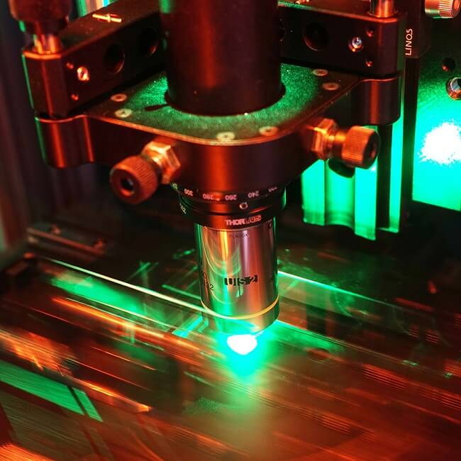 Liquid Crystals Control Polarization in Laser-Written Waveguides