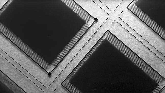 An image of a silicon wafer taken with an Acuros 2-MP SWIR camera. Courtesy of SWIR Vision Systems.