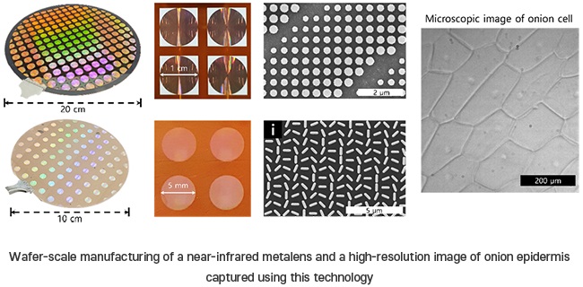 Wafer-scale manufacturing of a near-infrared metalens and a high-resolution image of an onion epidermis captured using the metalens technology. Courtesy of POSTECH.
