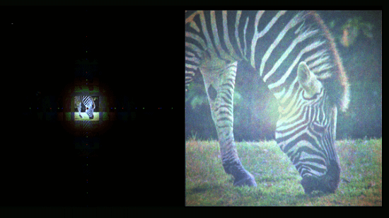 Holographic images made by spatial light modulators (left) are high definition but are too small to be used in an immersive setting. Using a spatial light modulator in conjunction with the team’s newly developed optical element (right) allows the same image to be enlarged without it losing clarity. Courtesy of Princeton University.
