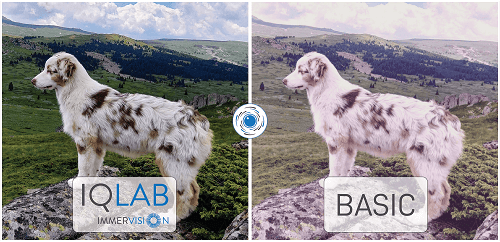 Immervision to Support Customers with Imaging Lab in Bulgaria