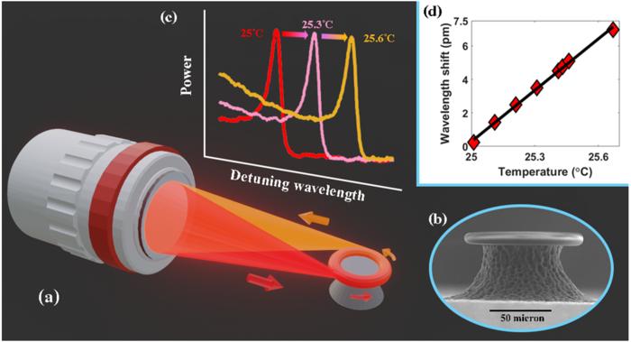 (a): An objective lens is used to couple free space light (red beam) into the microtoroid. The resonant scatter light is collected at the opposite edge, as indicated by the orange beam. (b): Scanning electron micrograph of a microtoroid resonator (SEM image). (c): Microtoroid resonance wavelength at different temperatures. (d): Resonance wavelength shift vs temperature. A linear fit is shown as a solid black line. Courtesy of Sartanee Suebka, Euan McLeod, and Judith Su.
