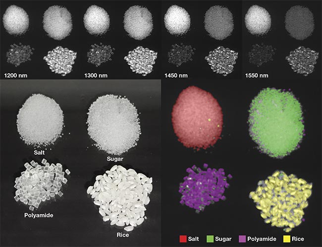 Multispectral sorting using a monochrome shortwave infrared line-scan camera. Such multi- and hyperspectral imaging is a trend, creating new lighting demands. Courtesy of MSTVision.