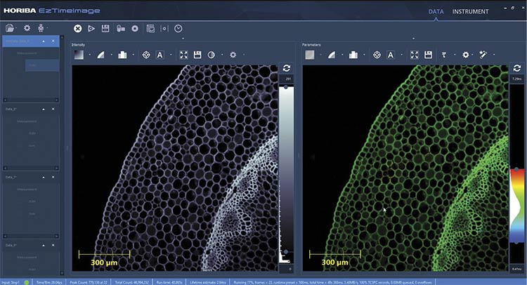 An on-screen analysis of FLIM images. Courtesy of HORIBA.