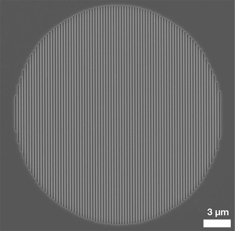 Figure 2. A typical VCSEL cell with surface gratings. The high-resolution grating, with a 280-nm pitch, is patterned using DTL, and the 22-µm circular boundary is sharply defined in a subsequent low-resolution lithography step. Courtesy of Eulitha AG.