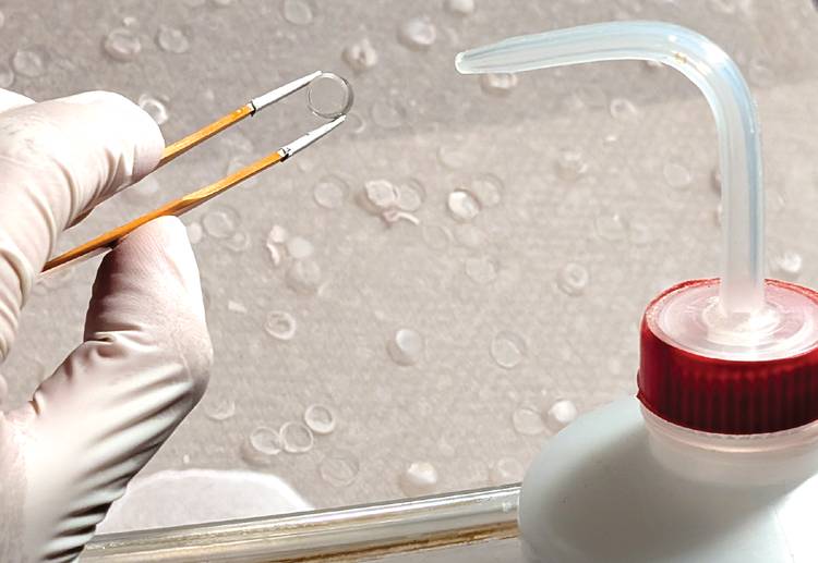 A small optical component is cleaned with acetone, commonly used as a solvent for coated surfaces, and held and rotated using tweezers. Courtesy of Perkins Precision Developments.