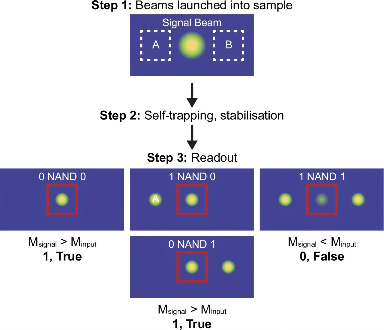 A central signal beam is always launched into the sample. Inputs A (MA) and B (MB) may be on or off. After the beams equilibrate, the final intensity profile is used to determine the output. False is only obtained when the output signal is affected by interactions with two neighboring beams. For 1 NAND 1, the output signal results from mutual interactions between Beams 1 and 3, and thus, the NAND response is false. Courtesy of Kalaichelvi Saravanamuttu.