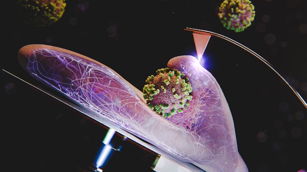 An illustration of a cell absorbing an influenza particle. Courtesy of Emma Hyde/Yohei Yamauchi.