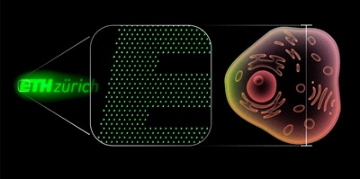 This ETH Zurich logo consists of 2,800 nano light-emitting diodes and, at a height of 20 micrometers, matches the size of a human cell. A single pixel measures around 0.2 micrometers. Courtesy of ETH Zurich.