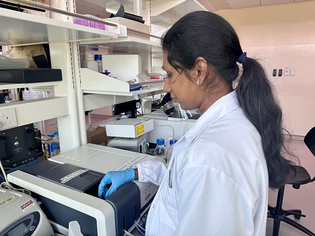 SMART CAMP senior research engineer Shruthi Pandi Chelvam uses the UV absorbance spectrometer to measure the absorbance spectra of cell culture samples. Courtesy of SMART CAMP.