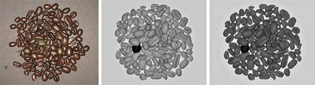 Figure 1. Imaging coffee beans (visible spectrum on the left) anywhere in the SWIR spectrum will find the rock. But capturing within the narrow bands ~1207 nm (center) or 1422 nm (right) can also determine the ripeness and water content of the beans. Courtesy of Smart Vision Lights.