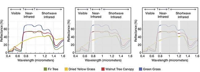 Figure 3. By examining spectral information around both the 850- and 1200-nm wavelengths, the samples that are present in each pixel of the frame can be determined. Courtesy of Smart Vision Lights.