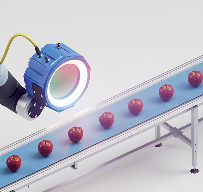 Machine vision system users can choose which spectral bands to explore — in this case, to monitor the quality of apples. Courtesy of Smart Vision Lights.