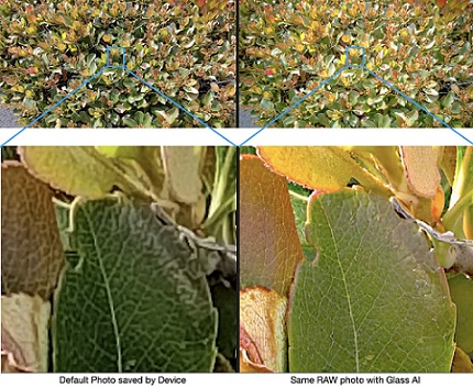 Two photos captured by a mid-range Android smartphone. The left is an unprocessed image taken by the smartphone. The right was captured with the same hardware but processed by Glass Imaging’s AI software. Courtesy of Glass Imaging.
