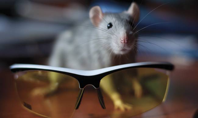 Courtesy of iStock.com/mikhasik.