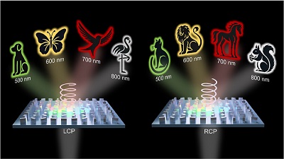 Schematic of the single-cell metahologram implementing spin and wavelength multiplexing. Courtesy of Pohang University of Science and Technology.