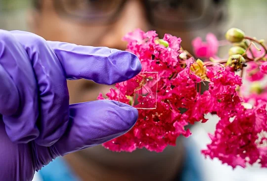 Rice University researchers and collaborators have developed a new coating for glass could help reduce energy bills, especially during the cold season, by preventing heat-loss from leaky windows. Courtesy of Rice University/Jorge Vidal.