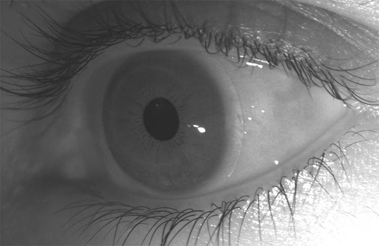 Foveation and Spectral Imaging: Nature-Inspired Data Reduction for Efficient Devices