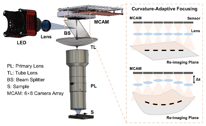 The microscope combines a telecentric lens, a tube lens, and an array of micro-cameras, each with its own focus control. This configuration makes it possible for the microscope to acquire a seamless, gigapixel image in a single snapshot, flattening out any curvature adaptively. Courtesy of Duke University/Haitao Chen.