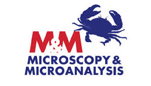 Microscopy & Microanalysis 2018