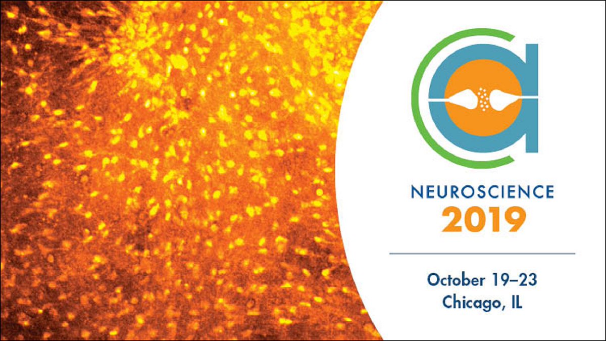 Neuroscience 2019