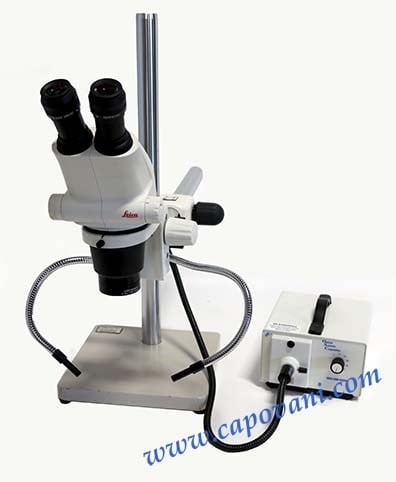 Stereo Microscope with Boom Stand