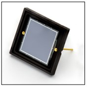 Photodiode UVG100