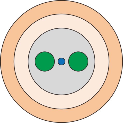 Polarization-maintaining Fiber